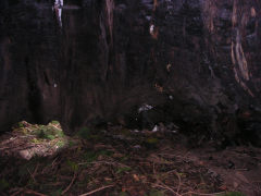 矢立の杉 - 幹の中の空洞